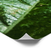 Vibrant Green Print (Hoek)