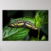 Vibrant Green Print (Voorkant)