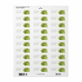 VIBRANT GROEN WATERVERF SUCCULTUUR ADRES ETIKET (Full Sheet)