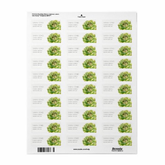 VIBRANT GROEN WATERVERF SUCCULTUUR ADRES ETIKET (Full Sheet)