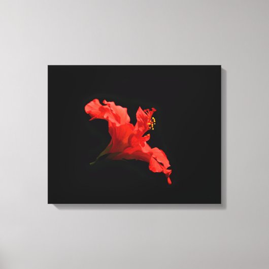 Vibrant Hibiscus Flower Canvas Afdruk (Voorkant)