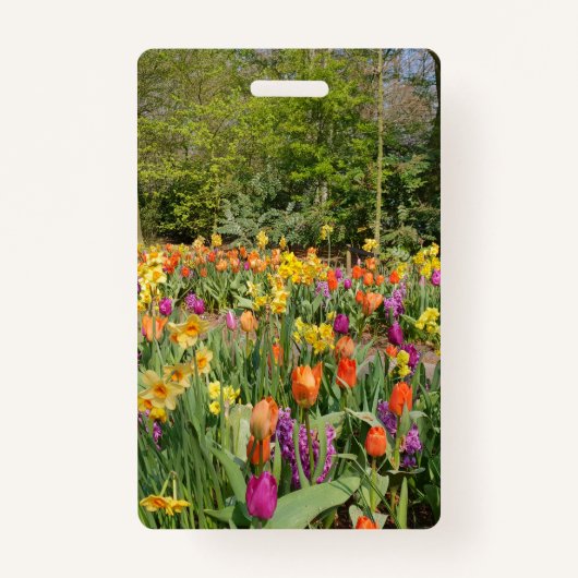 Vibrant Holland Tulip Garden Badge (Voorkant)