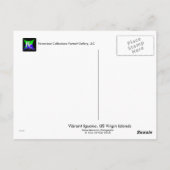 Vibrant Iguana Post Card, Amerikaanse Maagdeneilan Briefkaart (Achterkant)
