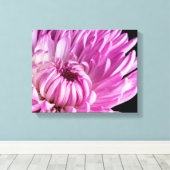 Vibrant in Pink Dahlia Canvas Afdruk (Insitu (Houten vloer))