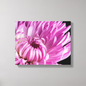Vibrant in Pink Dahlia Canvas Afdruk (Voorkant)