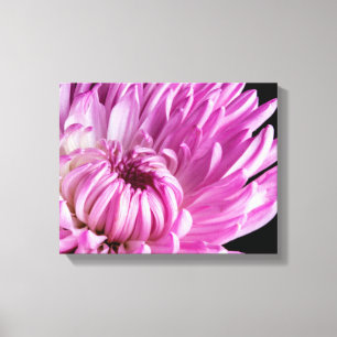 Vibrant in Pink Dahlia Canvas Afdruk