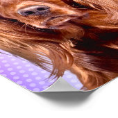 Vibrant Irish Setter Pop Art Poster (Hoek)