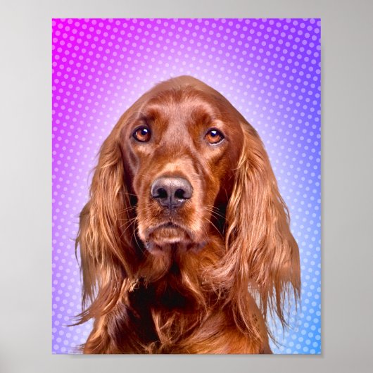 Vibrant Irish Setter Pop Art Poster (Voorkant)