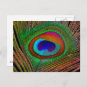 Vibrant koperen doezelaar briefkaart (Voorkant / Achterkant)