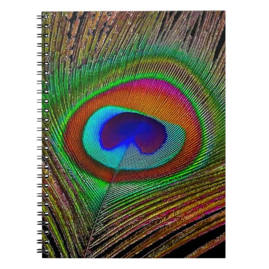 Vibrant koperen doezelaar notitieboek (Voorkant)