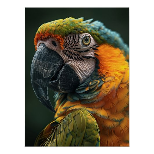 Vibrant Macaw Parrot Close-Up Fine Art Photo Perfect Poster (Voorkant)