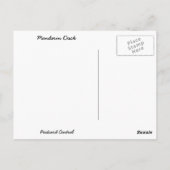 Vibrant Mandarin Duck Briefkaart (Achterkant)