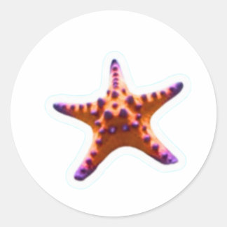 Vibrant Ocean Starfish - Coastal Beach Vibe Sticke Ronde Sticker