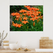 Vibrant Oranje Aziatische Lilie Poster (Keuken)