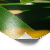 Vibrant oranje Aziatische Lily Flower Foto Afdruk (Hoek)