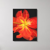 Vibrant Oranje Begonia Macro Canvas Afdruk (Voorkant)