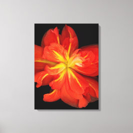 Vibrant Oranje Begonia Macro Canvas Afdruk