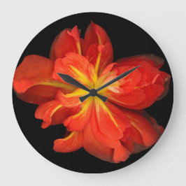 Vibrant Oranje Begonia Macro Grote Klok