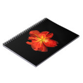 Vibrant Oranje Begonia Macro Notitieboek (Linkerzijde)