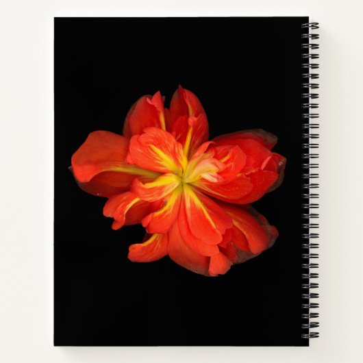 Vibrant Oranje Begonia Macro Notitieboek (Achterkant)