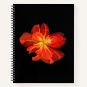 Vibrant Oranje Begonia Macro Notitieboek (Voorkant)