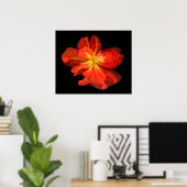 Vibrant Oranje Begonia Macro Poster (Thuiskantoor)