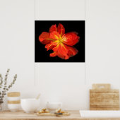 Vibrant Oranje Begonia Macro Poster (Keuken)