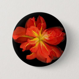 Vibrant Oranje Begonia Macro Ronde Button 5,7 Cm