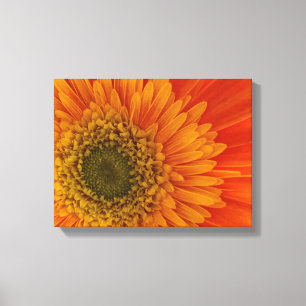 Vibrant Oranje Gerbera Daisy StretchedCanvas Afdru Canvas Afdruk
