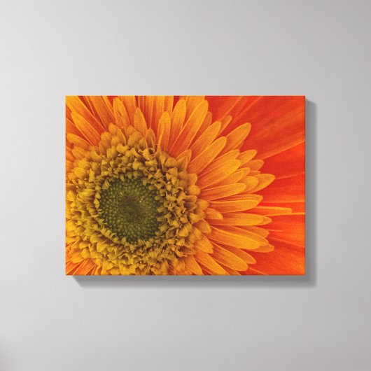 Vibrant Oranje Gerbera Daisy StretchedCanvas Afdru Canvas Afdruk (Voorkant)