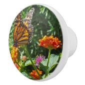 Vibrant Oranje monboogvlinder die op een ventilato Keramische Knop (Rechts)