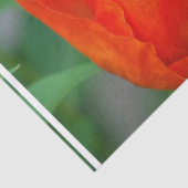 Vibrant Oranje papaver Tissuepapier (Detail)