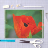 Vibrant Oranje papaver Tissuepapier (Craft)