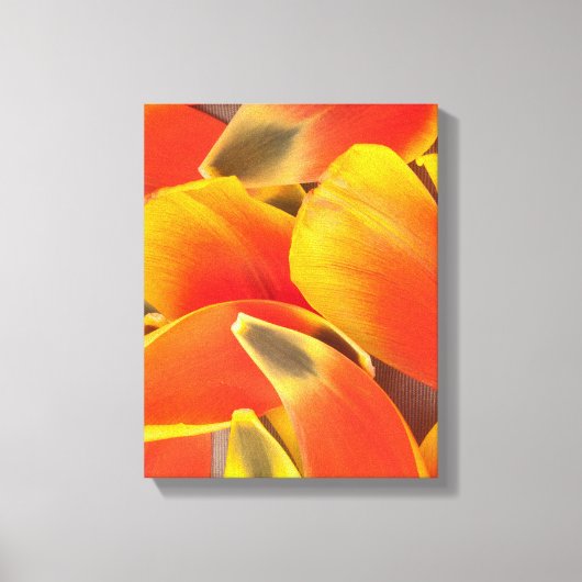 Vibrant Oranje Tulp Flower Petals Foto Canvas Afdruk (Voorkant)
