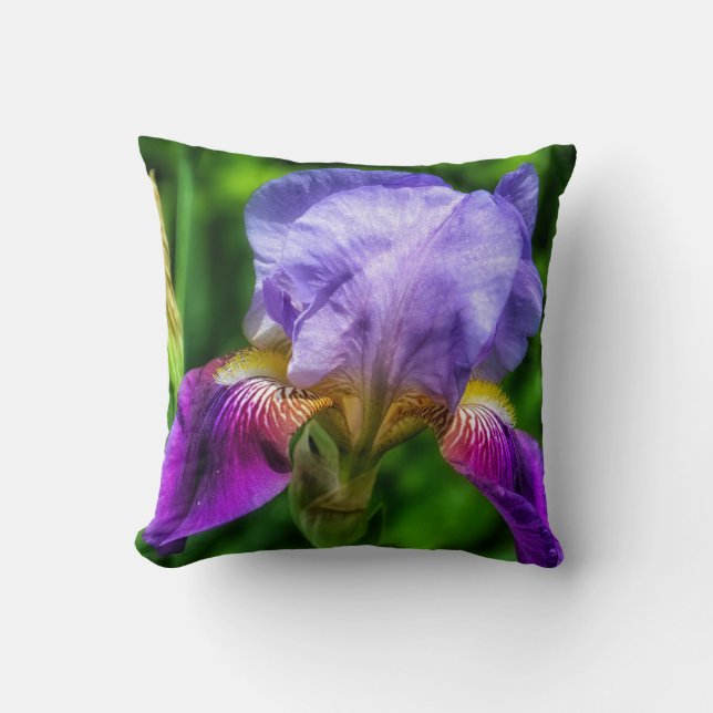 Vibrant paars blauw en gele irisbloem kussen (Voorkant)
