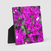 Vibrant Paars Bougainvillea Flowers Fotoplaat (Voorkant)