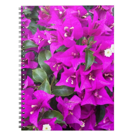 Vibrant Paars Bougainvillea Flowers Notitieboek (Voorkant)