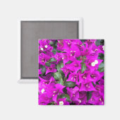 Vibrant Paars Bougainvillebloemen Magneet (Voorkant / Achterkant)