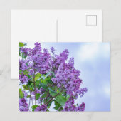 Vibrant Paarse Lila bloemen Briefkaart (Voorkant / Achterkant)