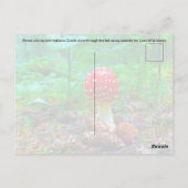 Vibrant paddenstoel - Briefkaart (Achterkant)