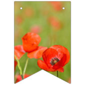 Vibrant papies in een papaverveld vlaggetjes (Eerste vlag)