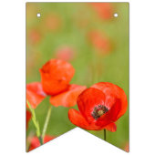 Vibrant papies in een papaverveld vlaggetjes (Derde vlag)