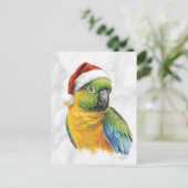 Vibrant Parrot Portrait in Santa Hat Feestdagenkaart (Staand voorkant)