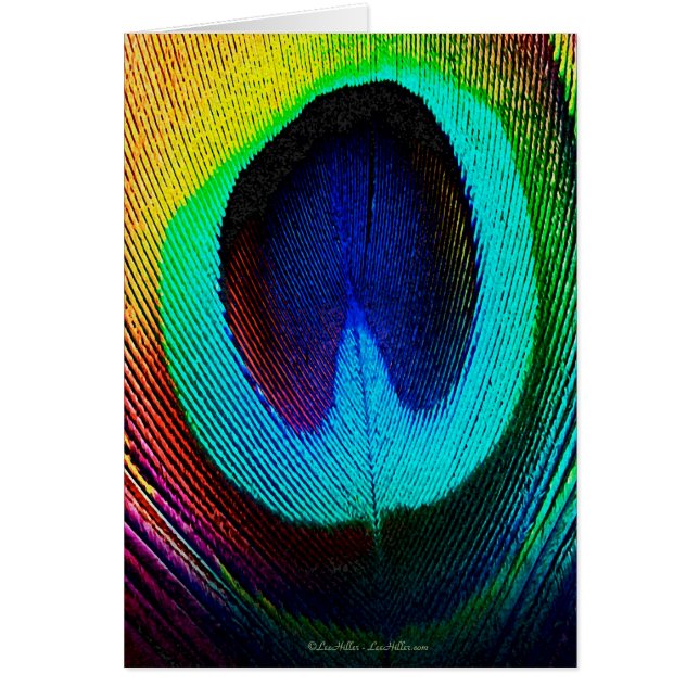 Vibrant Peacock Feather (Voorkant)