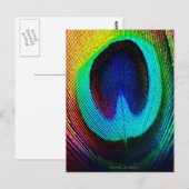 Vibrant Peacock Feather Briefkaart (Voorkant / Achterkant)