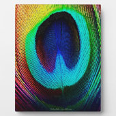 Vibrant Peacock Feather Fotoplaat (Voorkant)