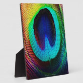 Vibrant Peacock Feather Fotoplaat (Zijkant)