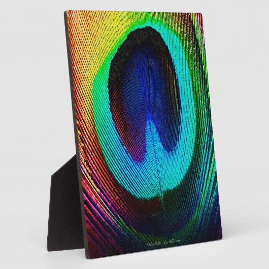 Vibrant Peacock Feather Fotoplaat (Zijkant)