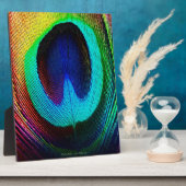 Vibrant Peacock Feather Fotoplaat (Zijkant)