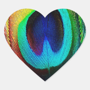 Vibrant Peacock Feather Hart Sticker